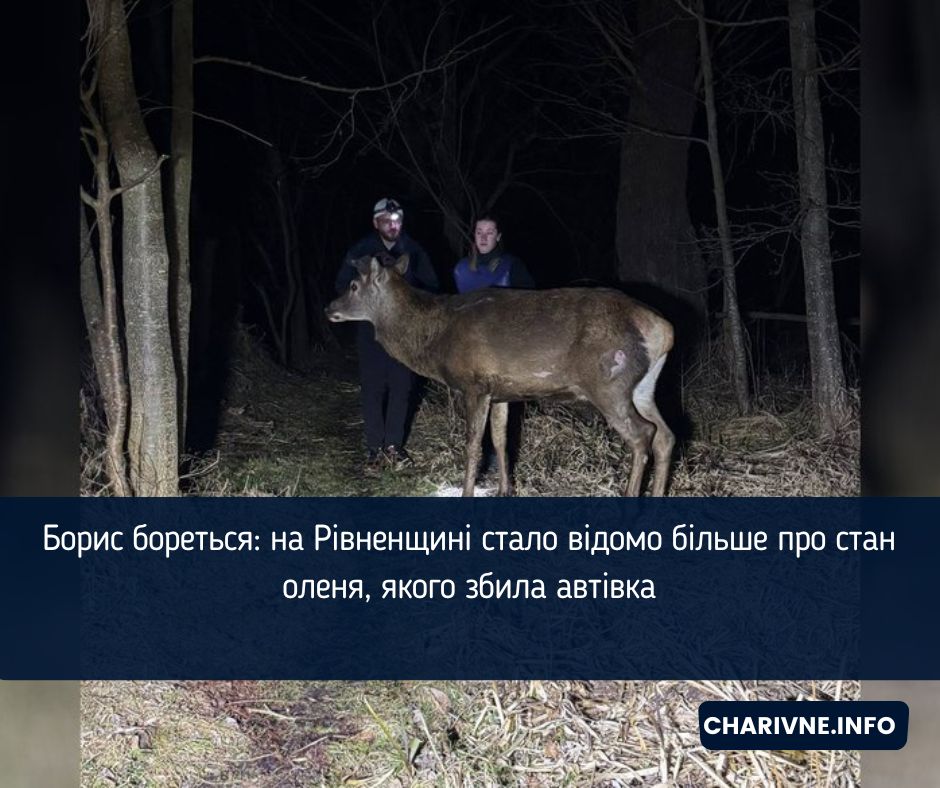 Фото ілюстративне